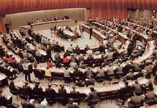 유엔 등 국제 기구의 심의
